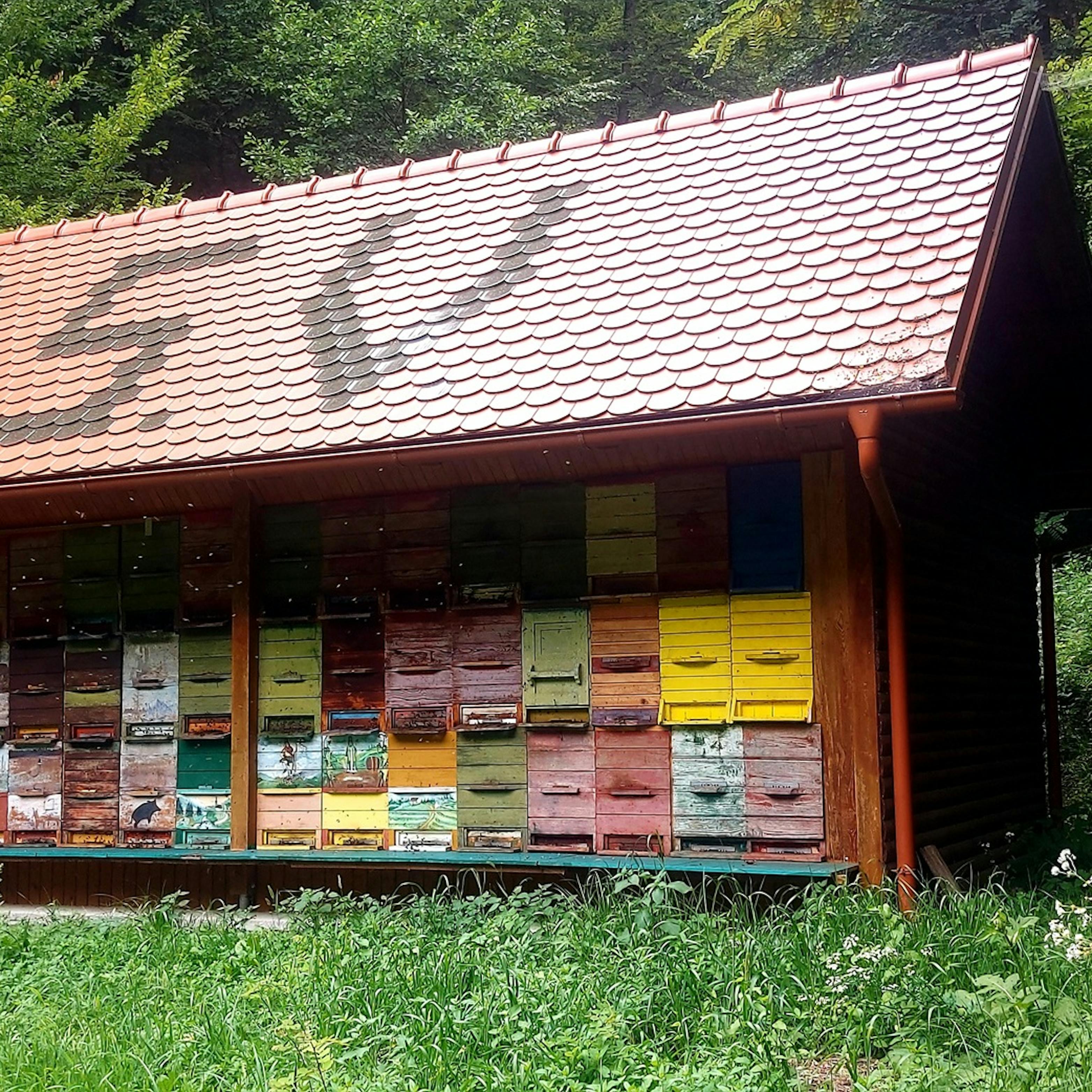 Beekeeping